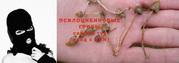 гашик Баксан